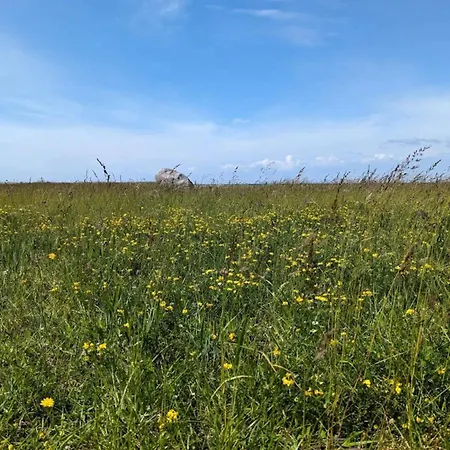 6 Person In Gedser-by Traum *